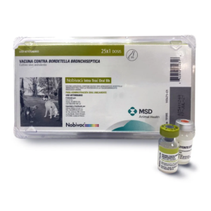 Nobivac Intra-Trac Oral Bb