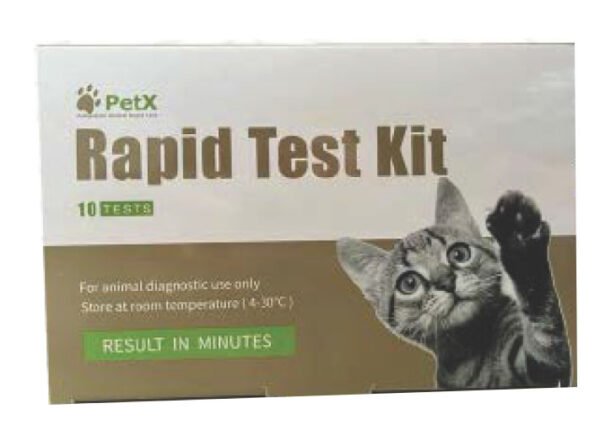 TEST FIV-FeLV // SIDA Y LEUCEMIA FELINA