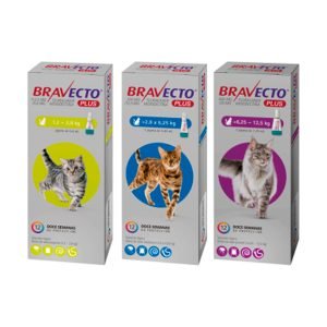 Bravecto® pipeta para gatos