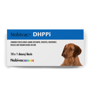 Novibac DHPPi