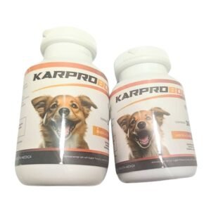 kaproboot