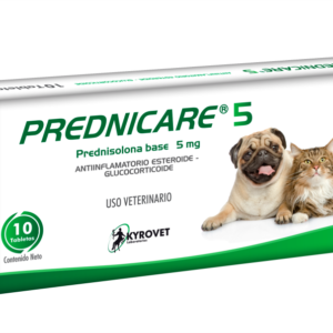 Prednicare 5