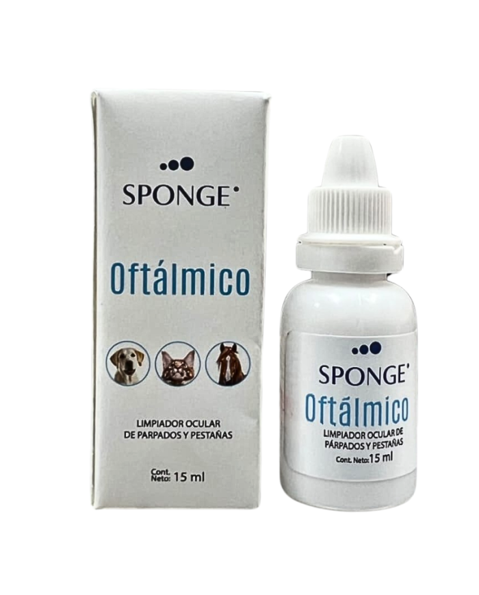 Sponge Oftálmico
