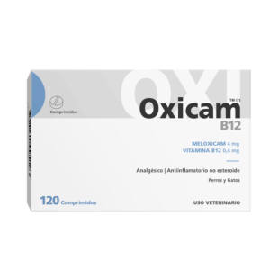 Oxicam b12
